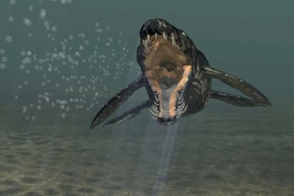 Animation eines prähistorischen Meerestiers im tropischen Urmeer der Fossilienwelt.