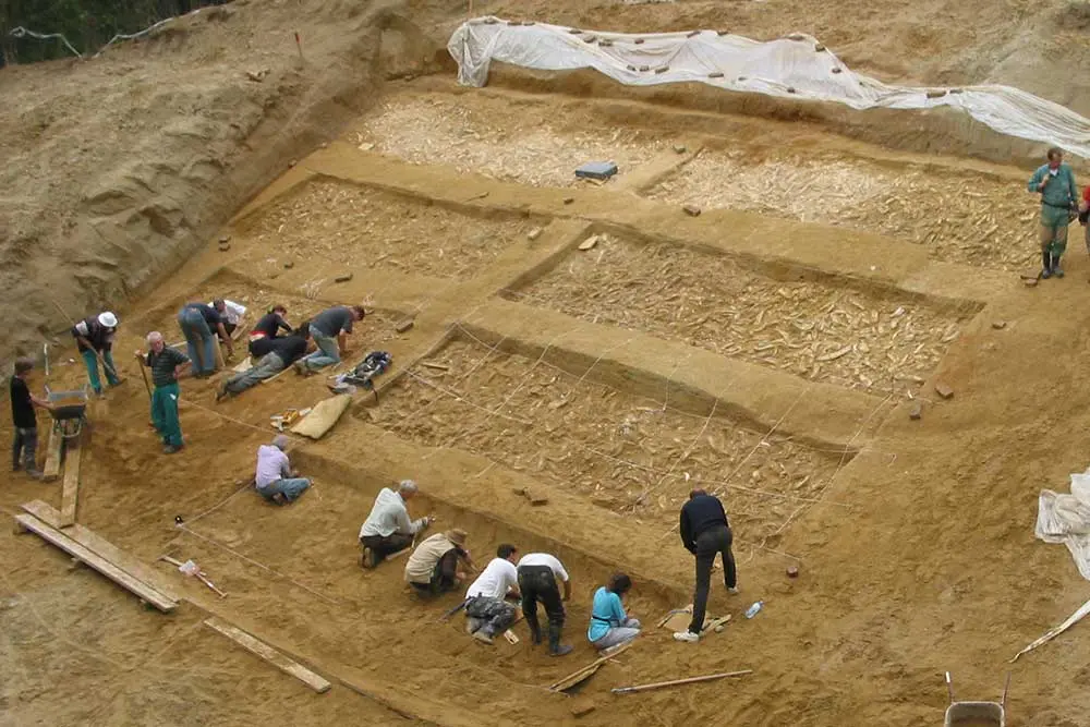 Forscher:innen bei großflächigen Ausgrabungen am fossilen Austernriff in der Fossilienwelt.