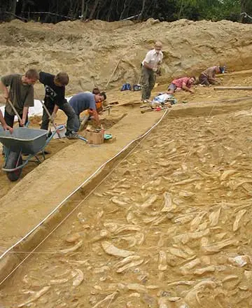 Team führt Ausgrabungen direkt am fossilreichen Austernriff der Fossilienwelt durch.