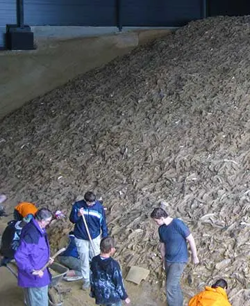 Team arbeitet direkt am fossilreichen Austernriff der Fossilienwelt.