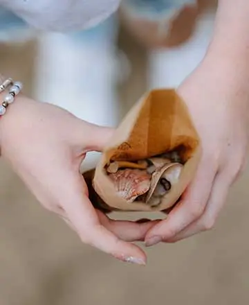 Gefundene Fossilien in einer kleinen Papiertüte aus der Haibucht