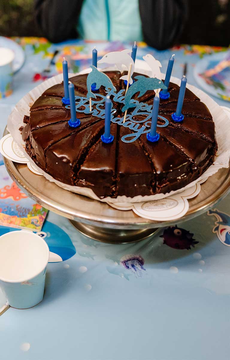 Geburtstagstorte mit Kerzen auf einem bunt gedeckten Kindergeburtstagstisch in der Fossilienwelt.
