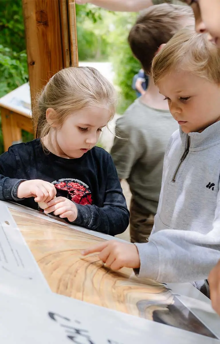 Kinder entdecken eine Infotafel im Außenbereich der Fossilienwelt.